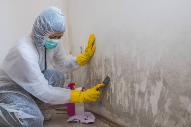 Best Mold Testing  in Grandview, OK