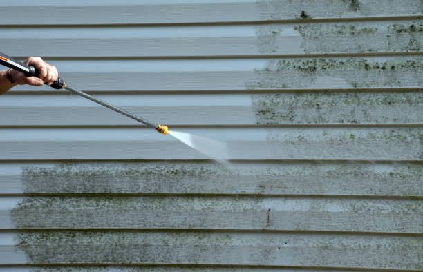 Best Mold Removal Company Near Me  in Grandview, OK