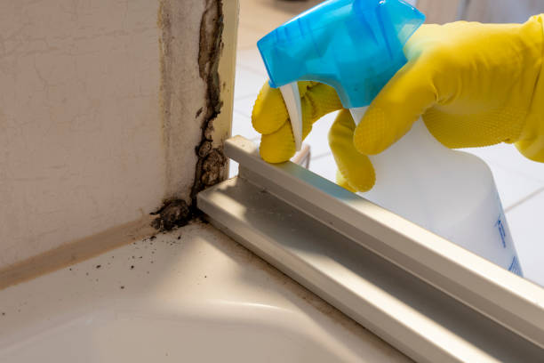 Best Emergency Mold Removal  in Grandview, OK