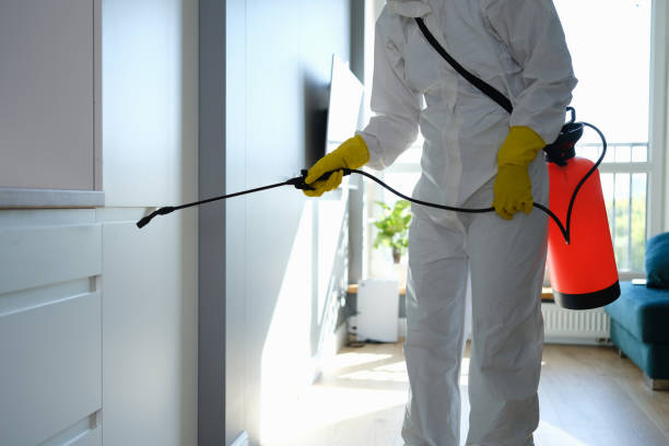 Water Damage Restoration in Grandview, OK