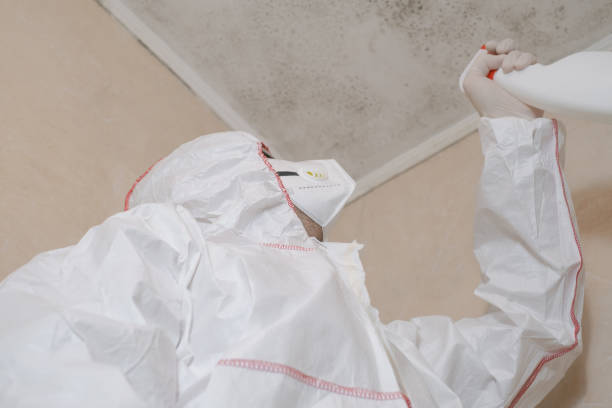 Grandview, OK Mold Removal Company
