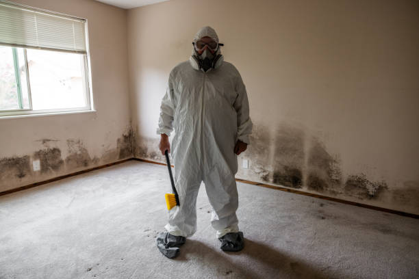 Best Best Mold Removal Companies  in Grandview, OK