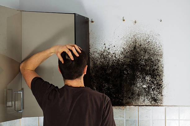 Best Attic Mold Removal  in Grandview, OK
