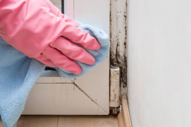 Best Crawl Space Mold Removal  in Grandview, OK